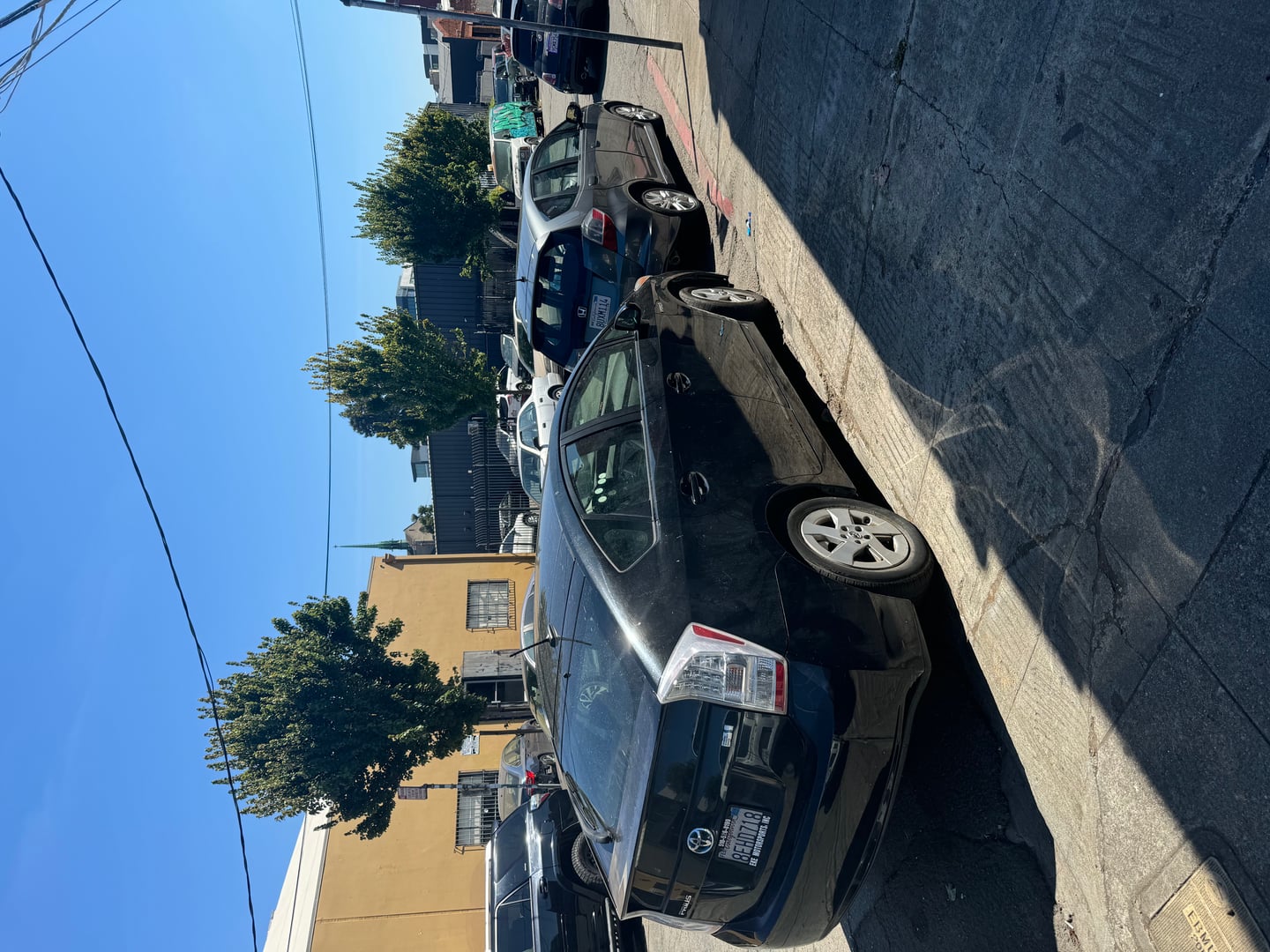Neighborhood - IMG_8064.jpeg