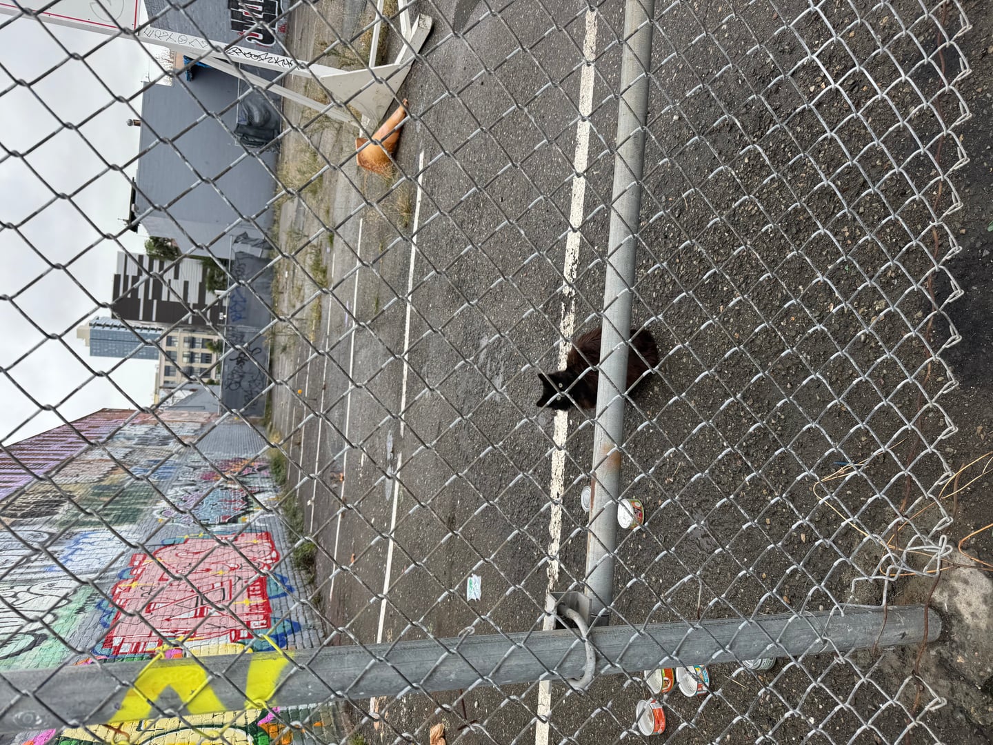 Neighborhood - IMG_9324.jpeg